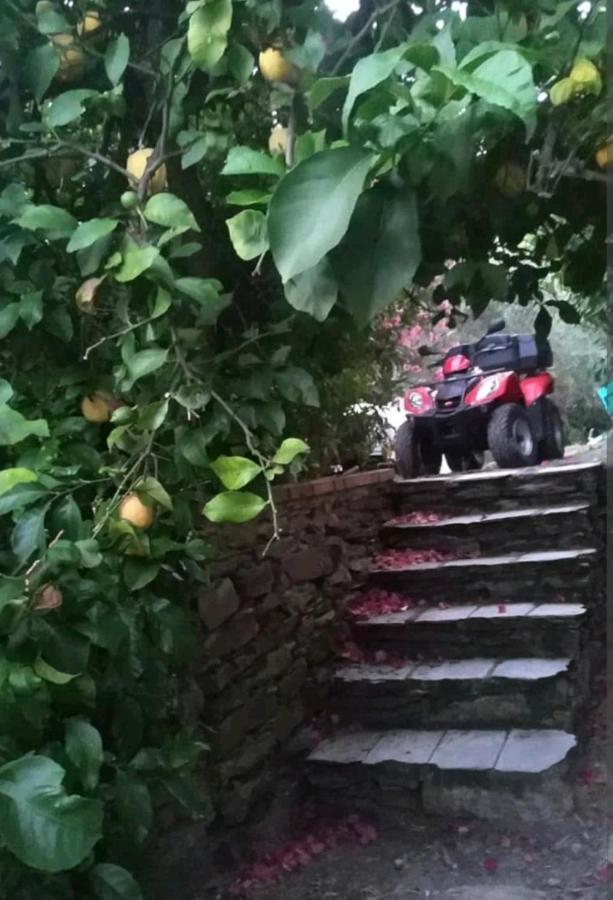 مبيت وإفطار راباللو A Casa Di Grea المظهر الخارجي الصورة